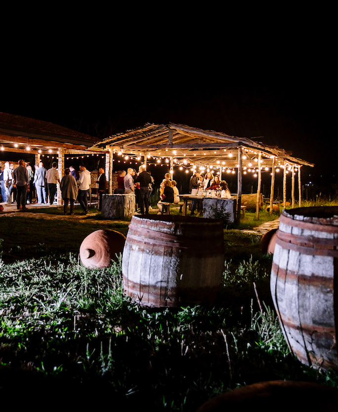 wedding party in Georgia